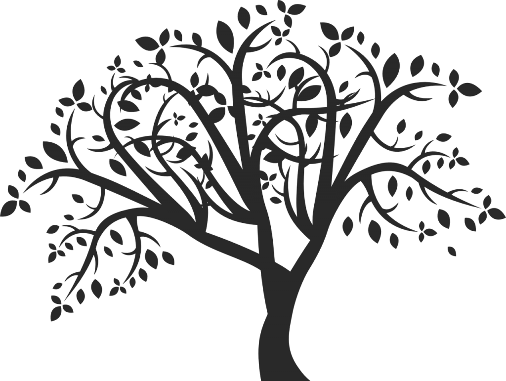 Arbre généalogique