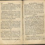 Coutumes Générales des Pays Duché de Luxembourg pages 10 - 11