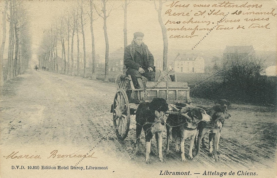 Libramont - Attelage de Chiens - Collection Christian Giboux