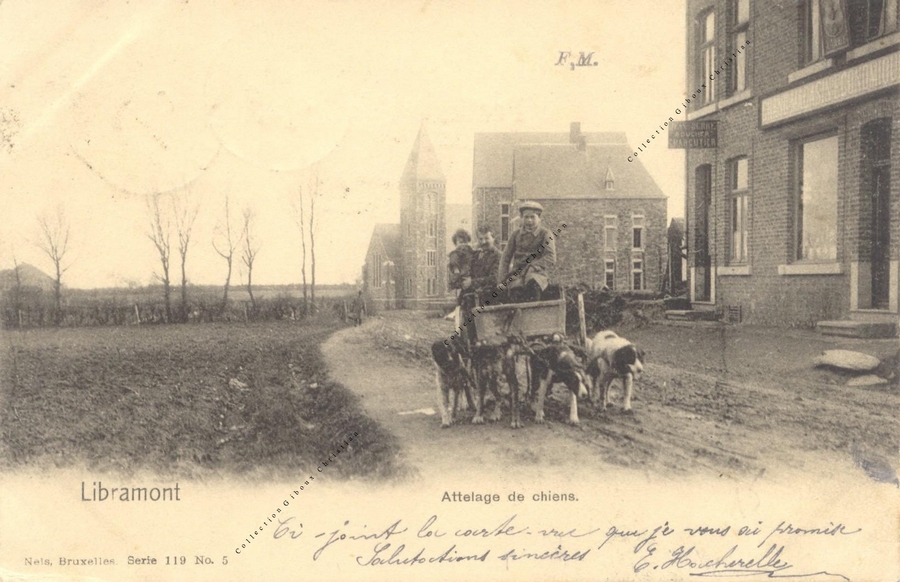Libramont - Attelage de chiens - Collection Christian Giboux
