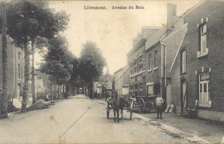 Libramont - Avenue du Bois - Collection Christian Giboux